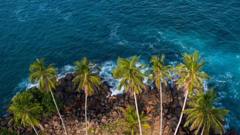 Sri Lankan tourism is moving ahead