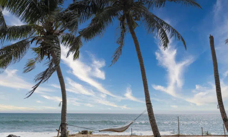 plan travels sri lanka public holidays 2024