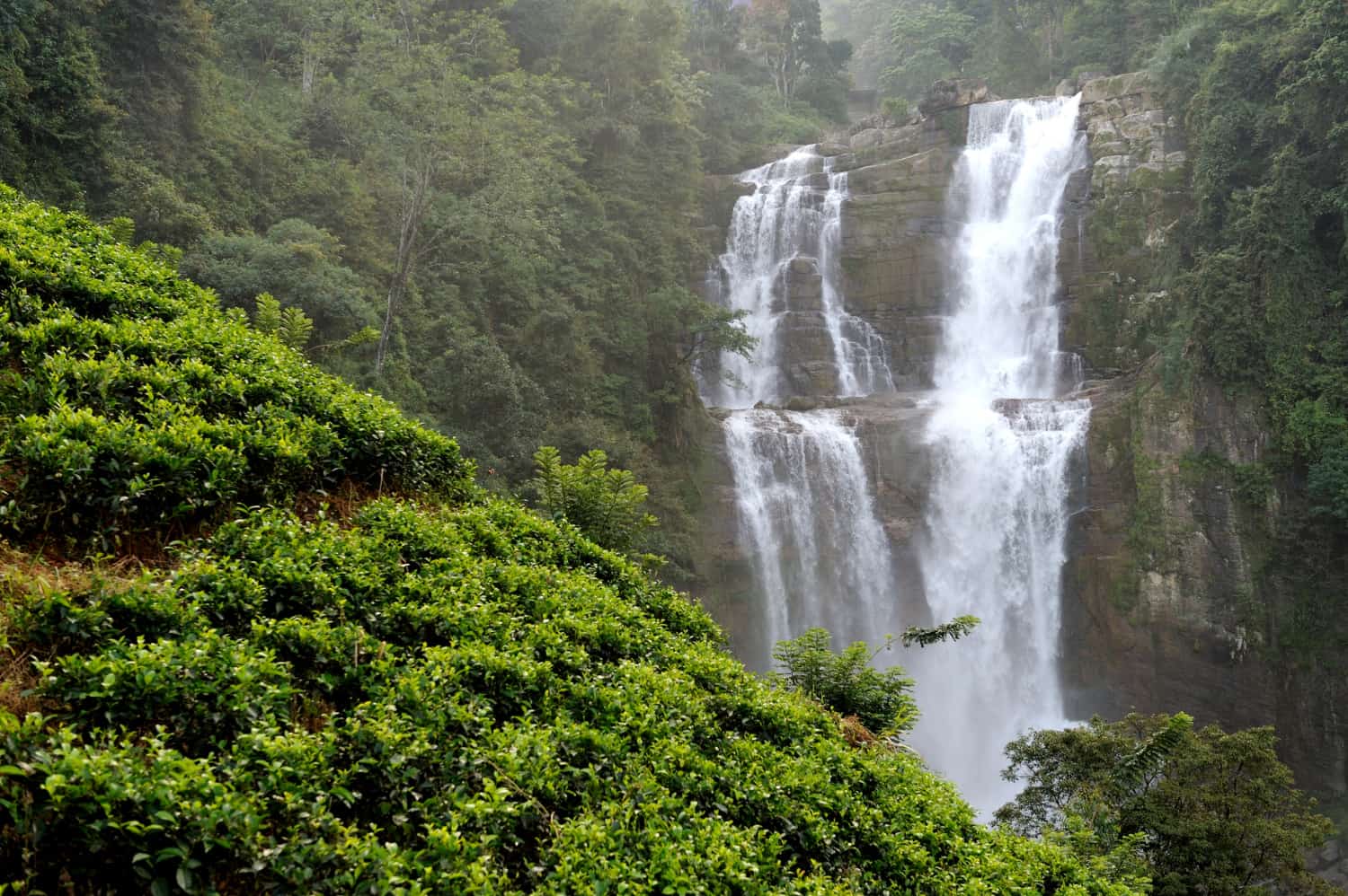 The Case for Sri Lanka: Extraordinary Variety in a Small Island
